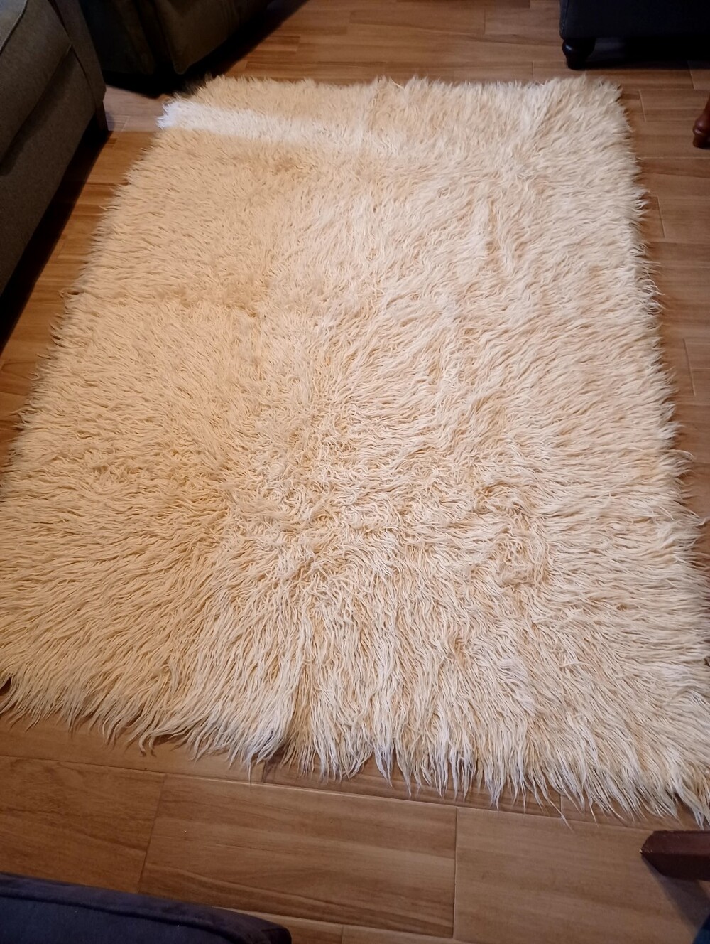 Shaggy Wool Area Rug